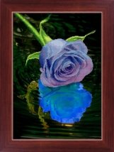 Набір для малювання камінцями 5D (часткова викладка на холсті) "Голуба троянда" LasKo