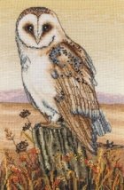 Набор для вышивания "Сова на горизонте (Owl Horizon)" ANCHOR