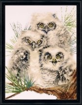 Набір для вишивання хрестиком "Owl Trio//Тріо сов" Design Works