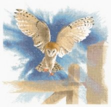 Набор для вышивания крестом "Сова в полете//Owl in Flight" Heritage Crafts