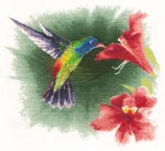 Набір для вишивання хрестиком "Колібрі в польоті//Hummingbird in Flight" Heritage Crafts