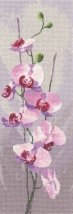 Набор для вышивания крестом "Орхидея//Orchid" Heritage Crafts