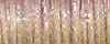 1/16" Ribbon (5550) 10m Kreinik