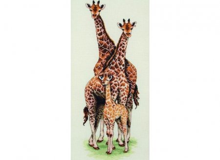 Набір для вишивання "Сім'я жирафів (Giraffe Family)" ANCHOR
