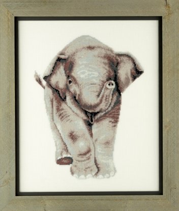 Набір для вишивання "Слон" Pako © Animal Prints